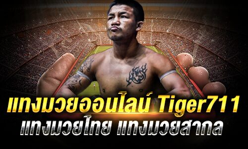 TIGER711 ทางเข้า มีระบบการเงินที่มั่นคงและรวดเร็ว ไม่มีการโกง 100%