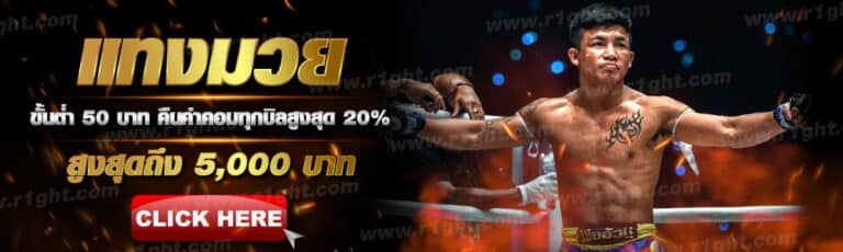 TIGER711 โปรโมชั่นดีๆ ที่เรามอบให้กับสมาชิกสุดพิเศษของเรา