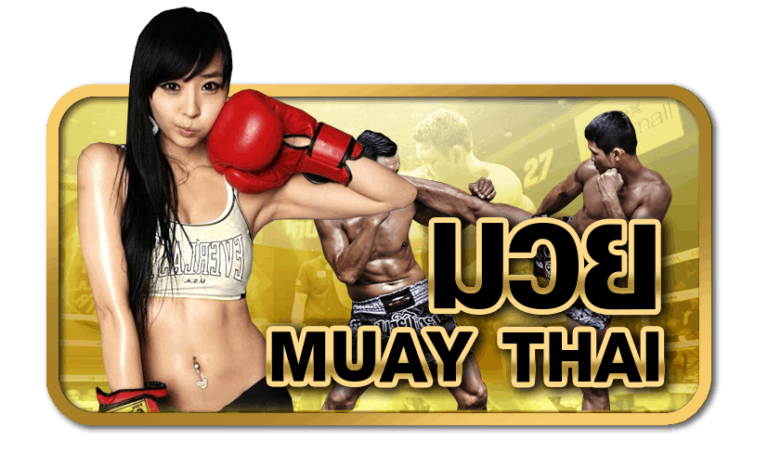 tiger711-icon-แทงมวย