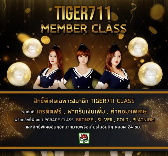 โปรโมชั่น – TIGER711 Member