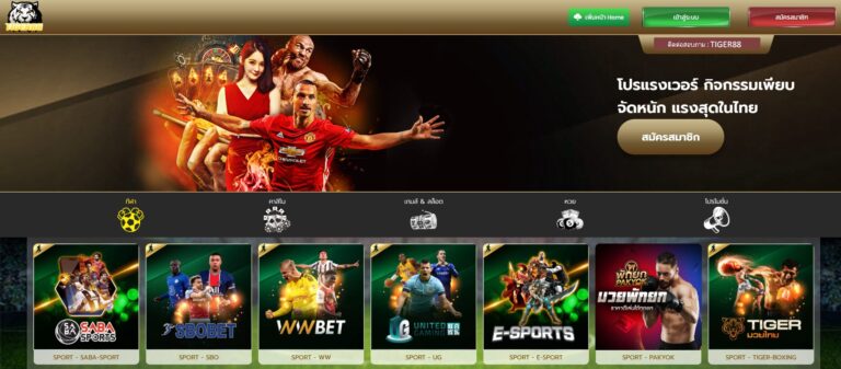TIGER88 เว็บเดิมพันมวยออนไลน์ที่ตอบโจทย์คนรักมวย ทั้งมวยไทย มวยต่างประเทศ