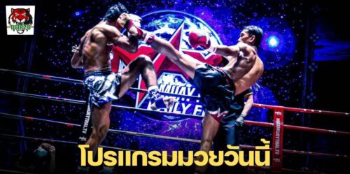 โปรแกรมมวยไทยวันนี้ วันจันทร์ที่ 13 พฤษภาคม 2567 -tiger711