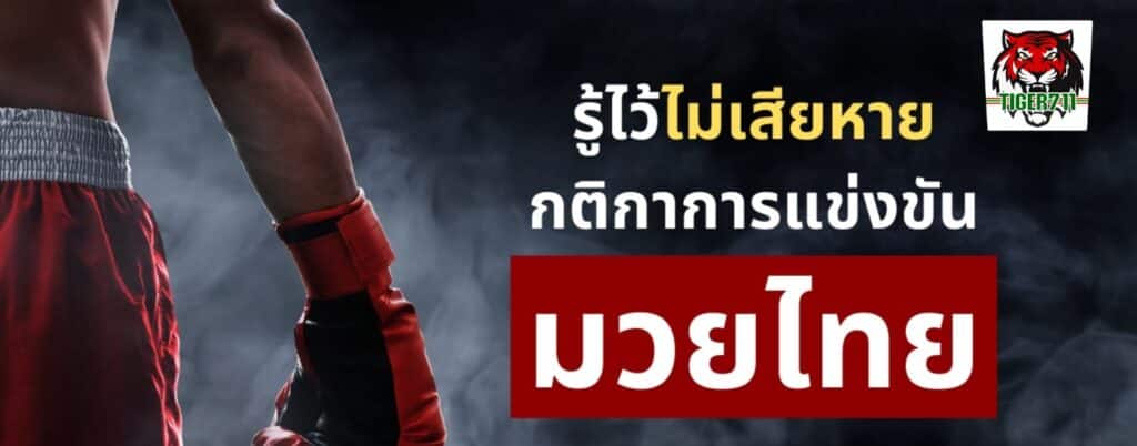 มารยาทสำหรับเพื่อการต่อย มวยไทย-TIGER711