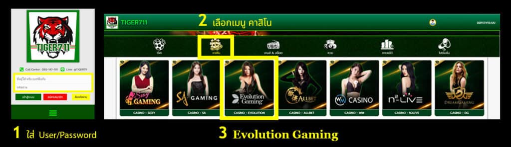 Login Evolution Gaming